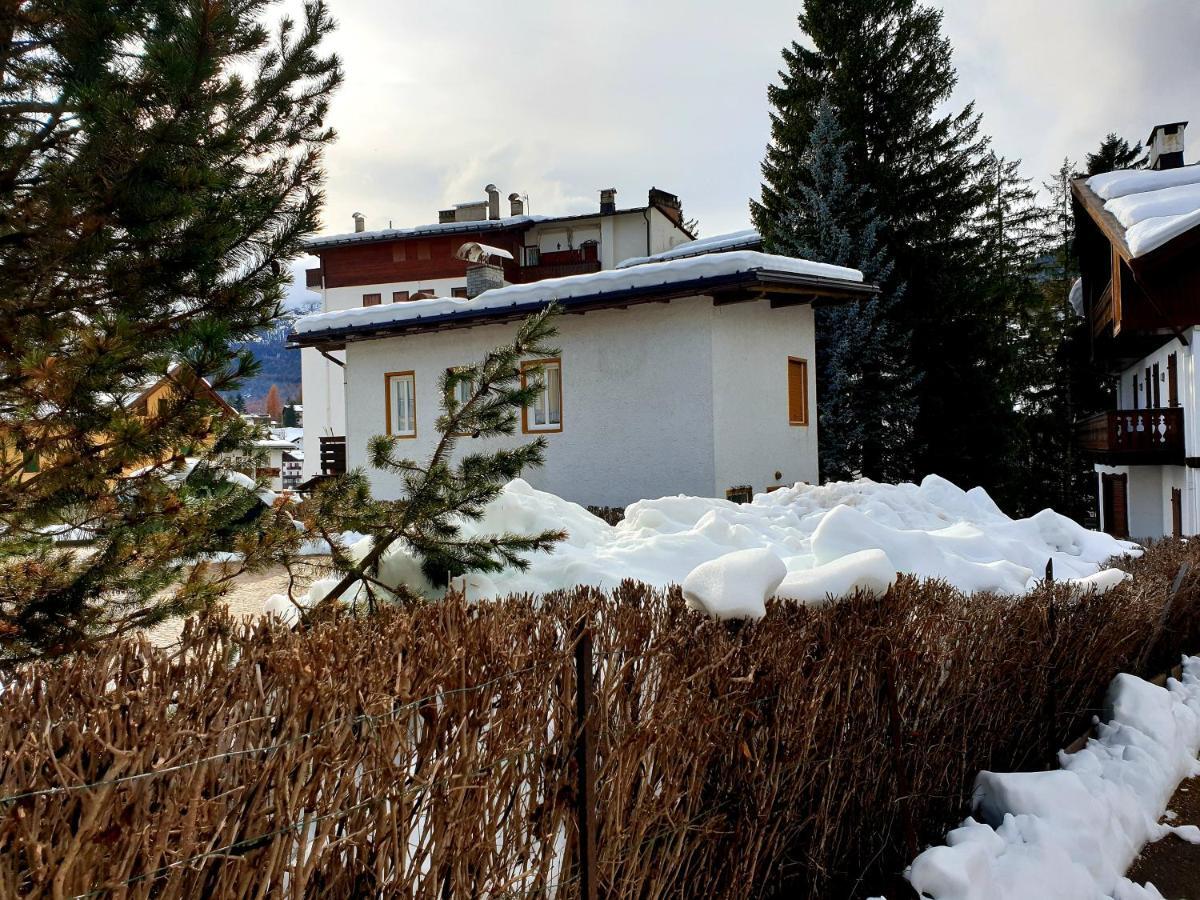 Luminoso Ed Accogliente, Centralissimo Appartamento Indipendente Cortina dʼAmpezzo Exterior foto